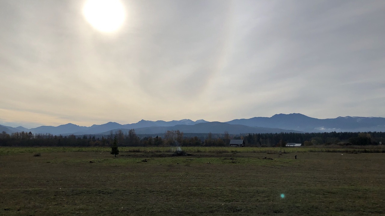 Photo of Others in Sequim