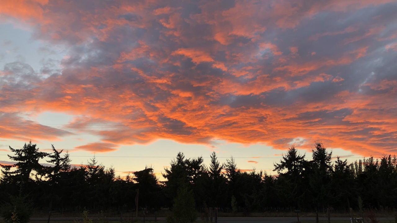 Photo of Others in Sequim