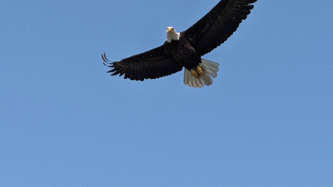Photo of Others in Sequim
