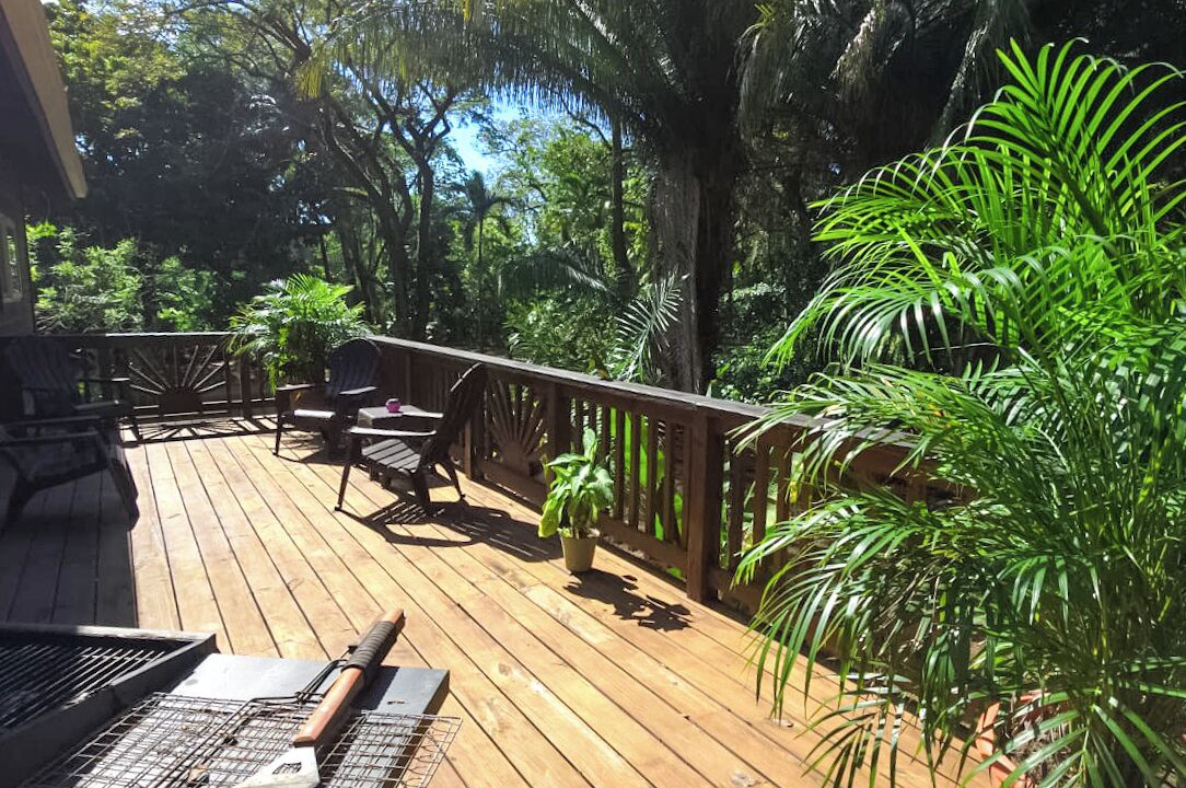 Photo of Patio Balcony in Palmetto Bay