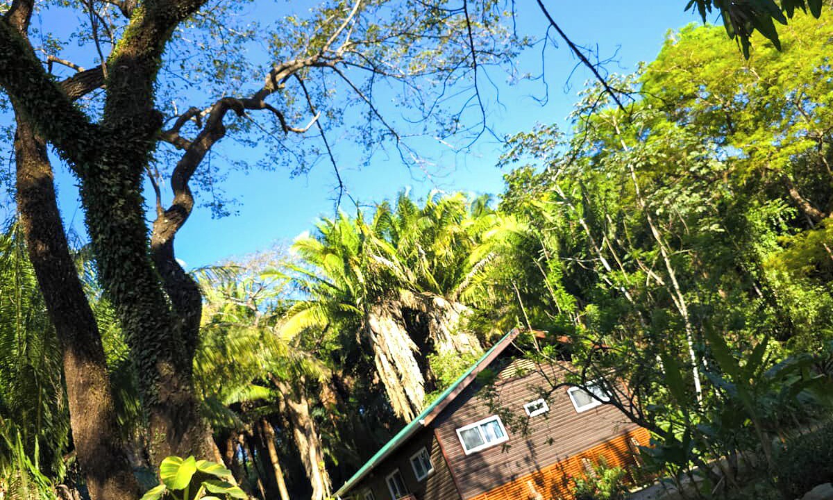 Photo of Outdoor in Palmetto Bay