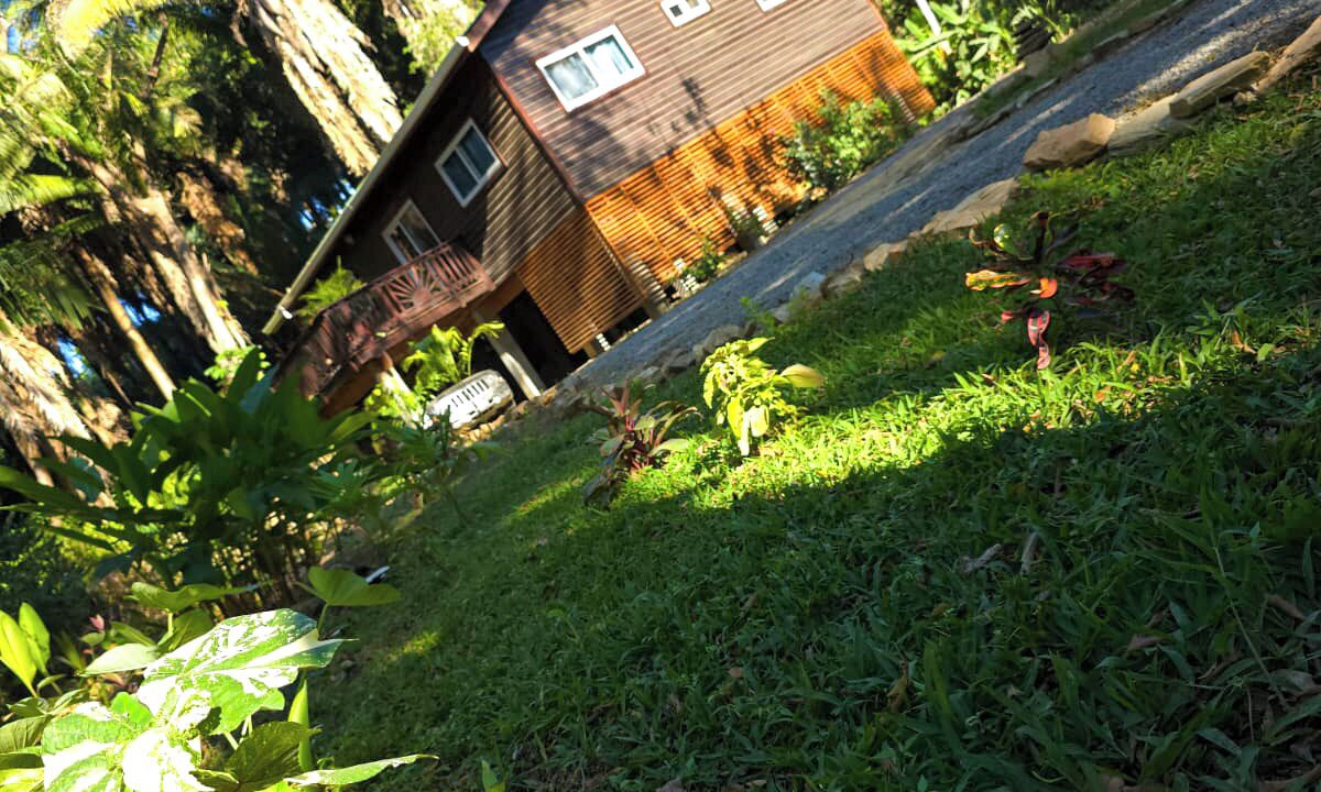 Photo of Outdoor in Palmetto Bay