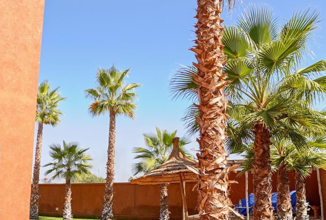 Photo of Outdoor in Sidi Abdallah Ghiat