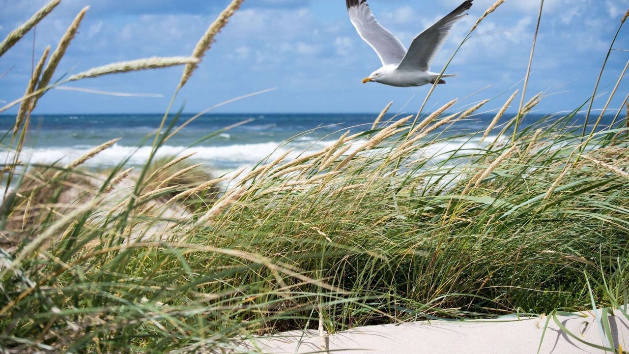 Photo of Others in Knokke