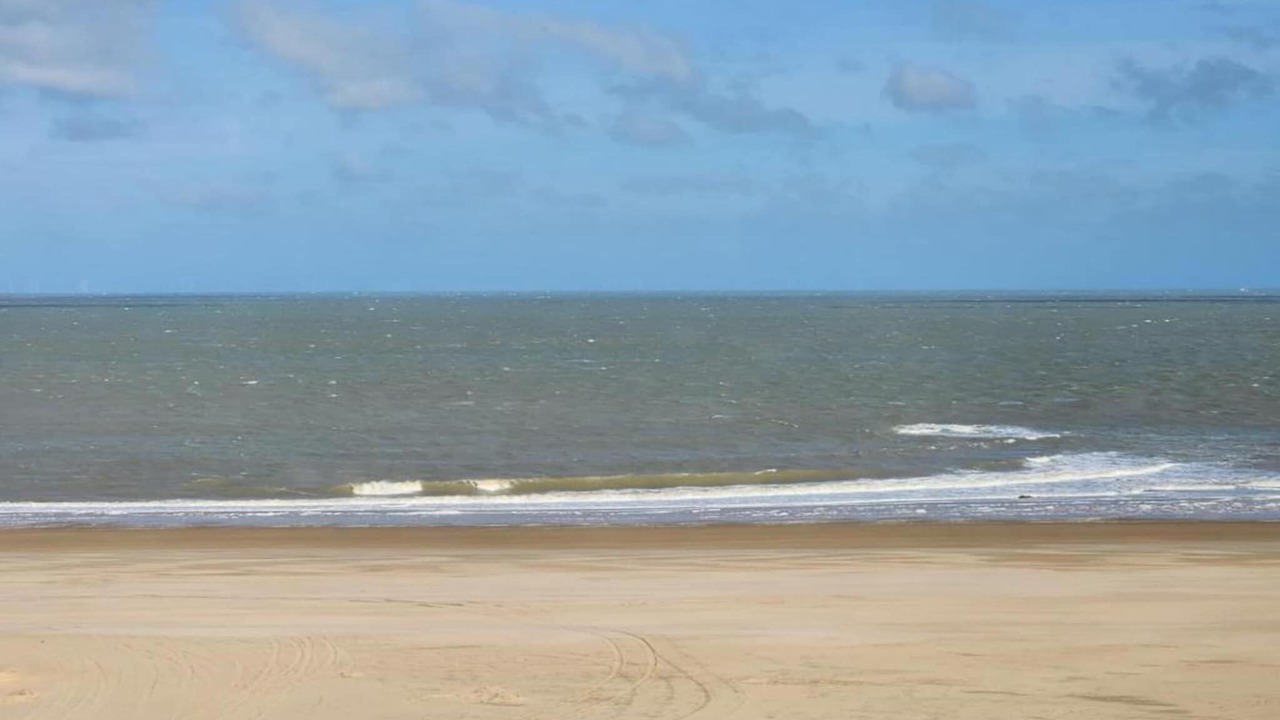 Photo of Others in Knokke