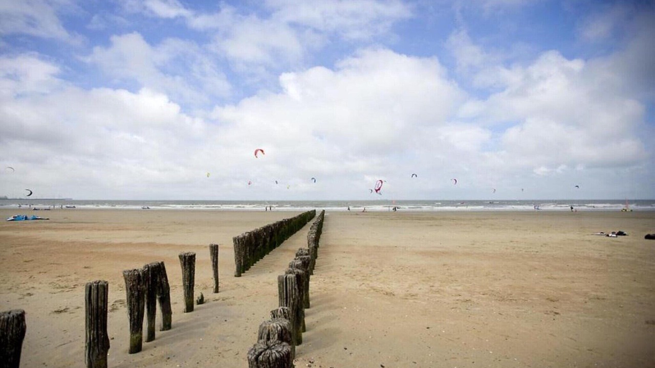 Photo of Others in Knokke