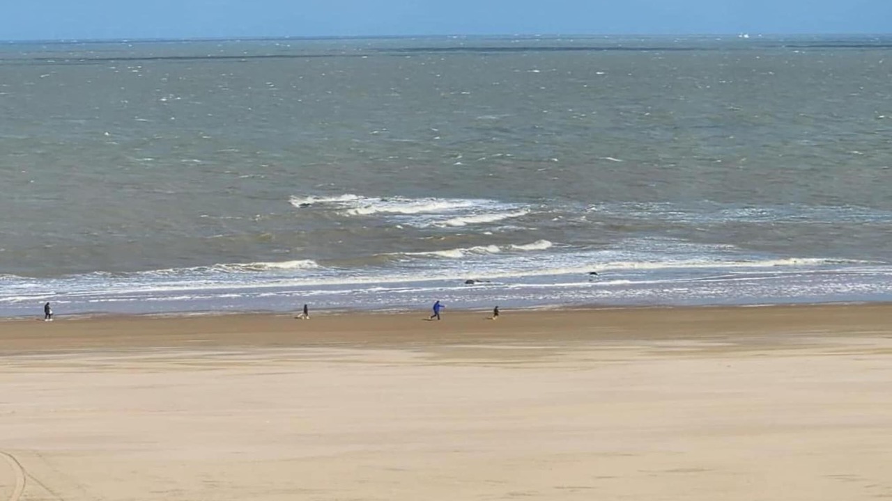 Photo of Others in Knokke