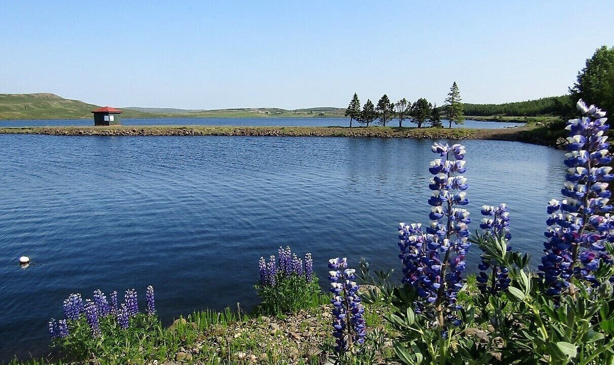 Photo of Others in Garðabær