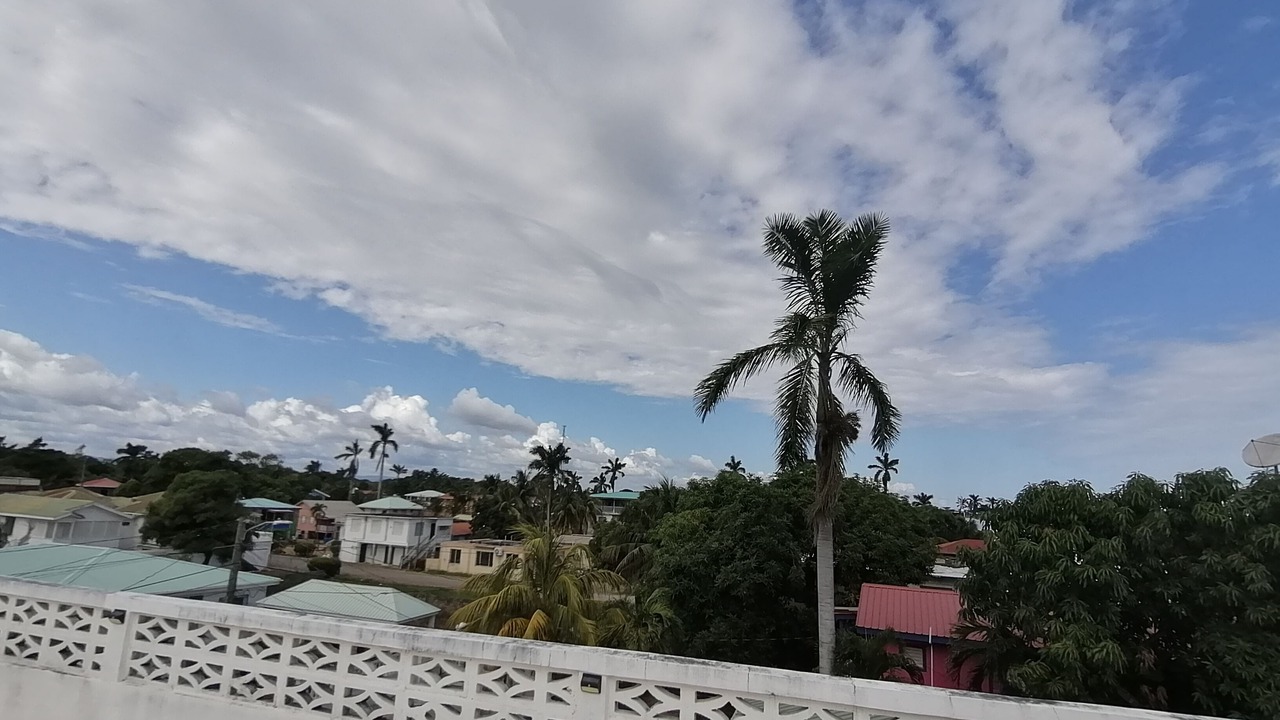 Photo of Others in Dangriga