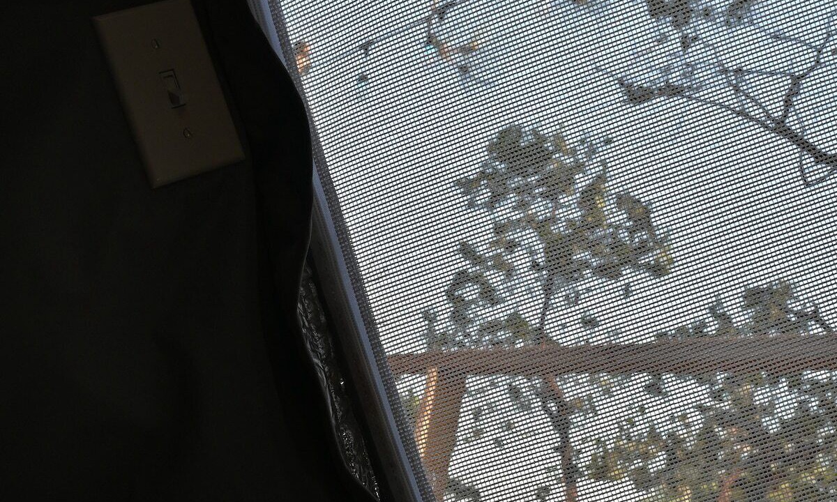Photo of Others in Dunlap