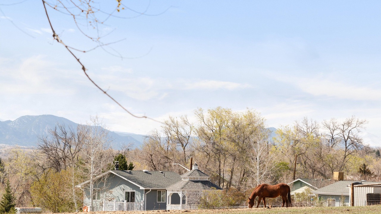 Photo of Others in Scenic Heights