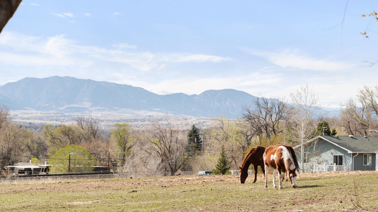 Photo of Others in Scenic Heights