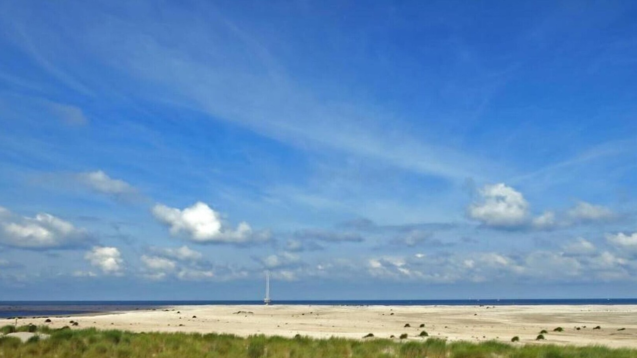 Photo of Others in 's-Gravenzande