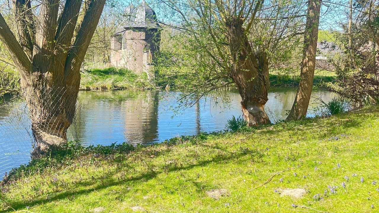 Photo of Others in Wildbach
