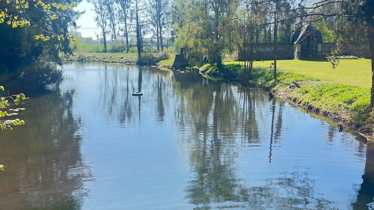 Photo of Others in Wildbach
