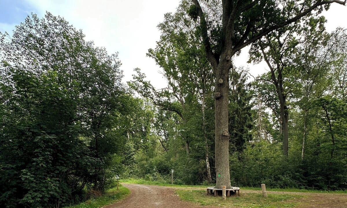 Photo of Others in Luechow