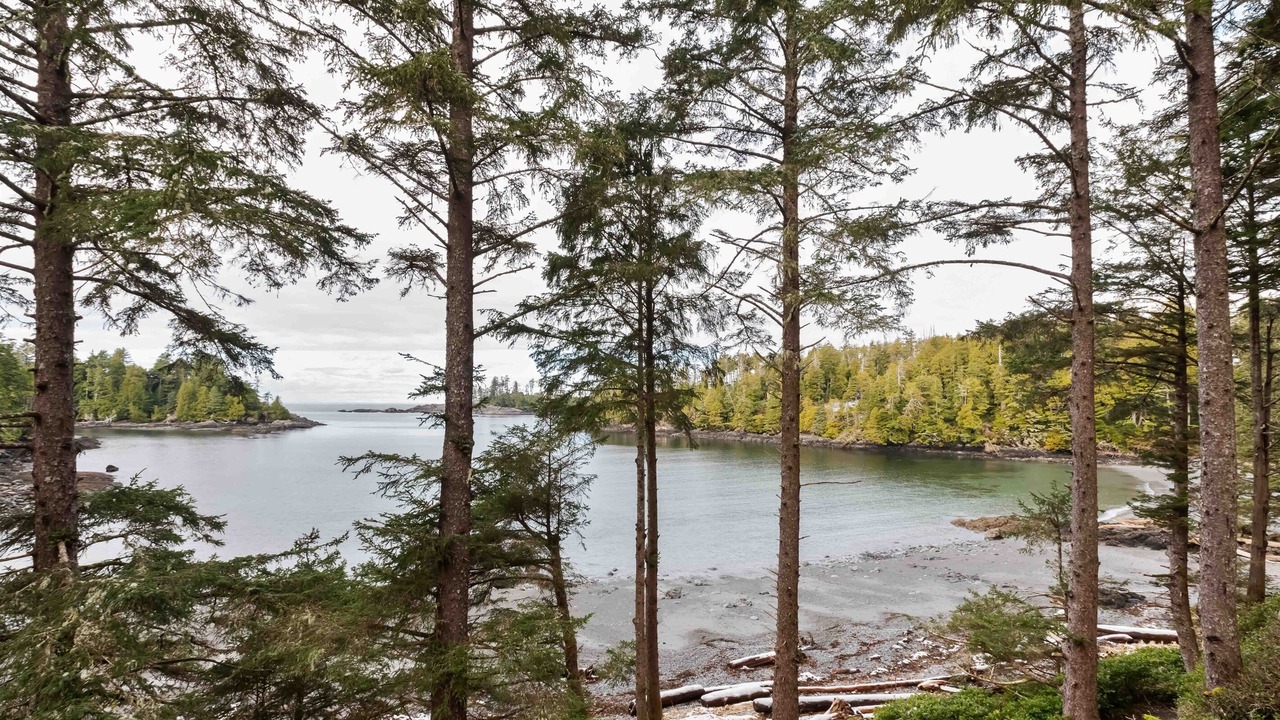 Photo of Others in Ucluelet