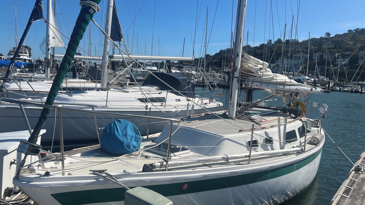 Photo of Others in Sausalito