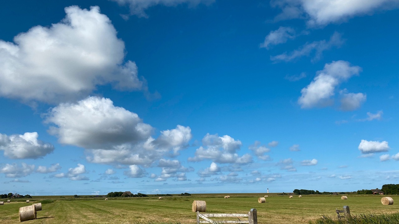 Photo of Others in Westerhever
