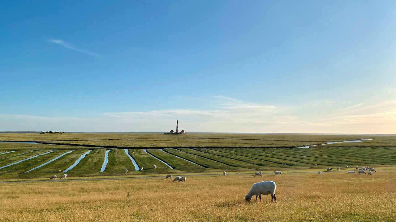 Photo of Others in Westerhever