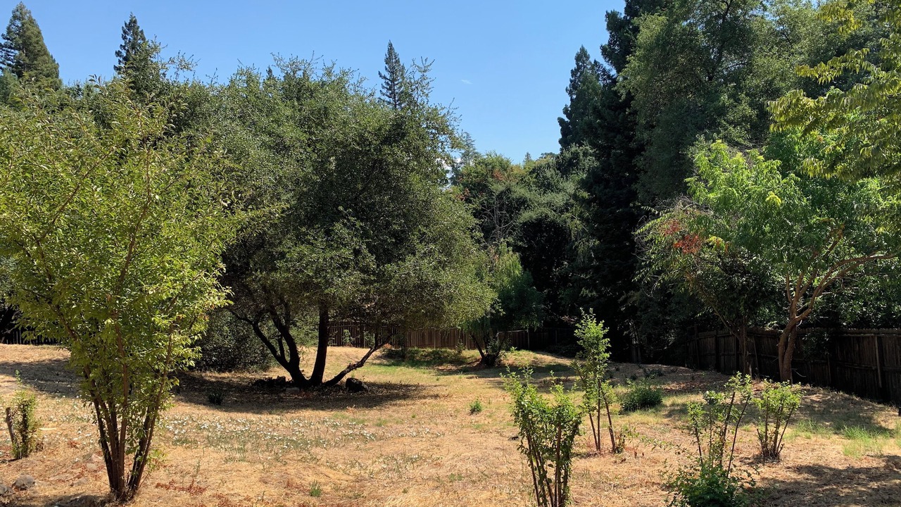 Photo of Outdoor in Represa