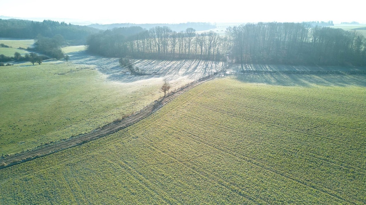 Photo of Outdoor in Sommiere