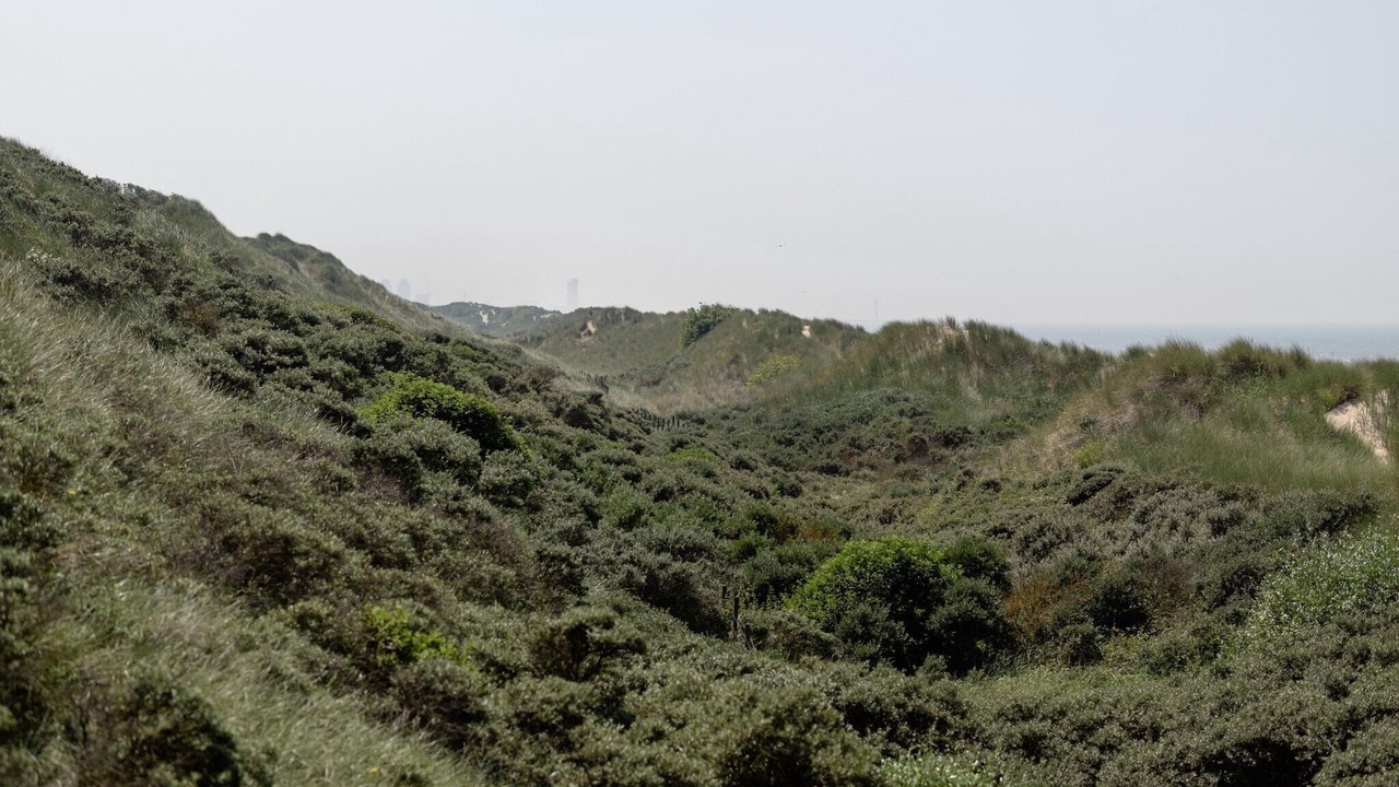Photo of Others in Wenduine