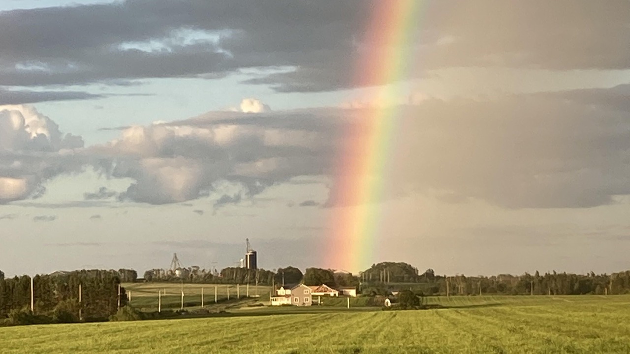 Photo of Others in Borden-Carleton