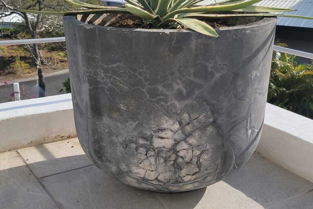 Photo of Outdoor in Marbella