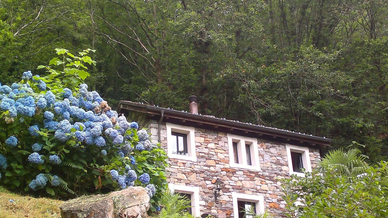 Photo of Outdoor in Brissago