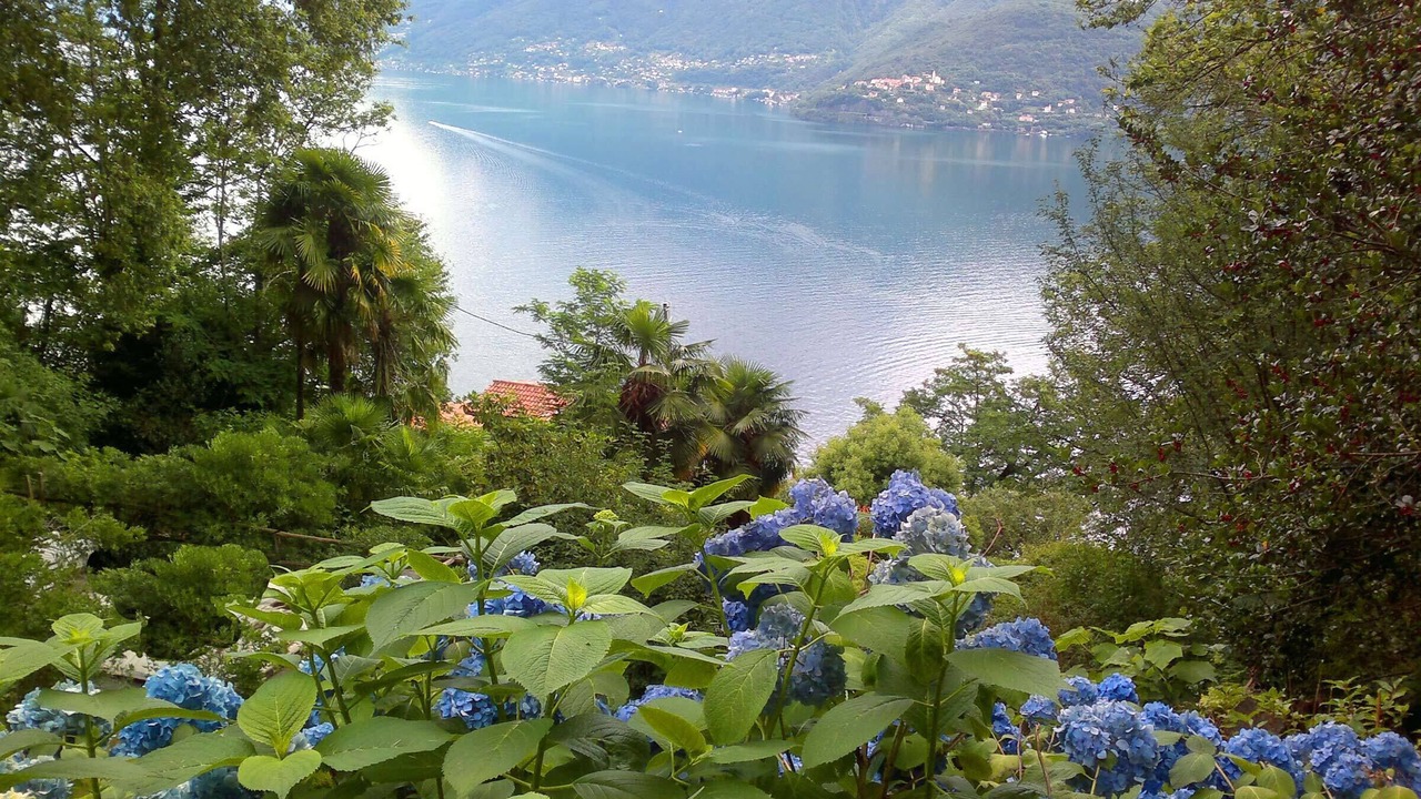 Photo of Others in Brissago