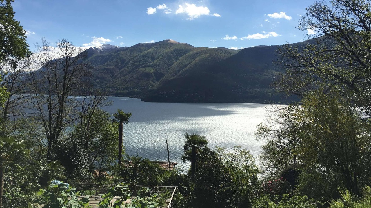 Photo of Others in Brissago