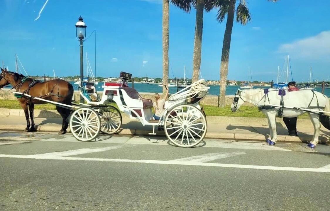 Photo of Others in St. Augustine South