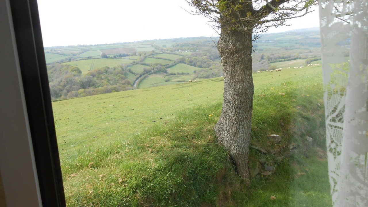 Photo of Others in Callington