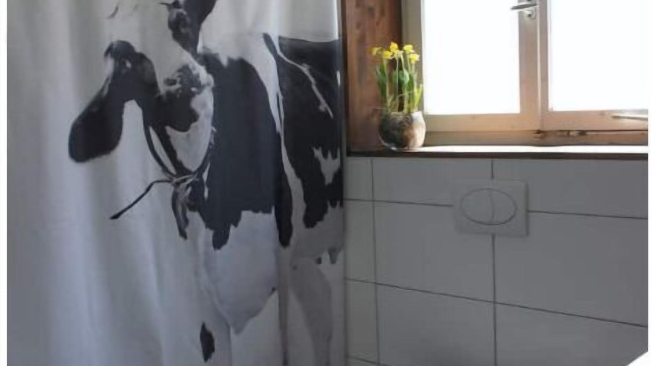 Photo of Bathroom in Boenigen