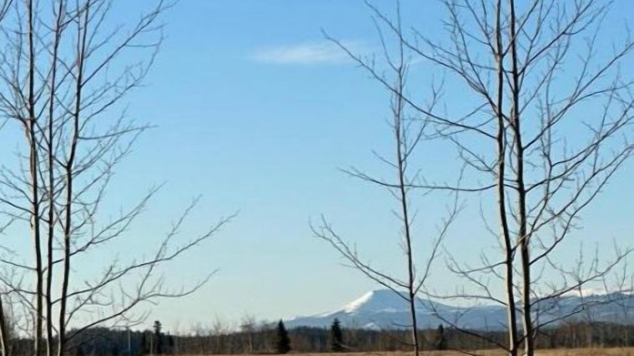 Photo of Others in Whitehorse