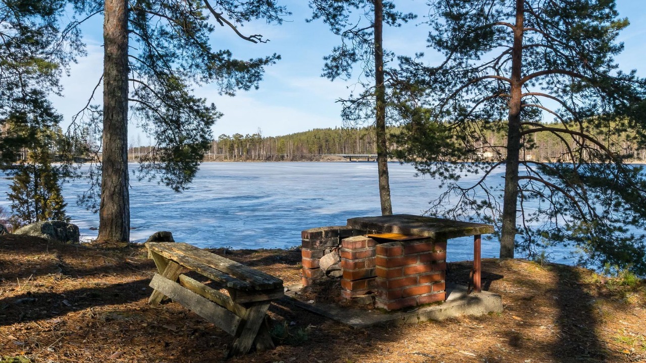 Photo of Others in Punkaharju