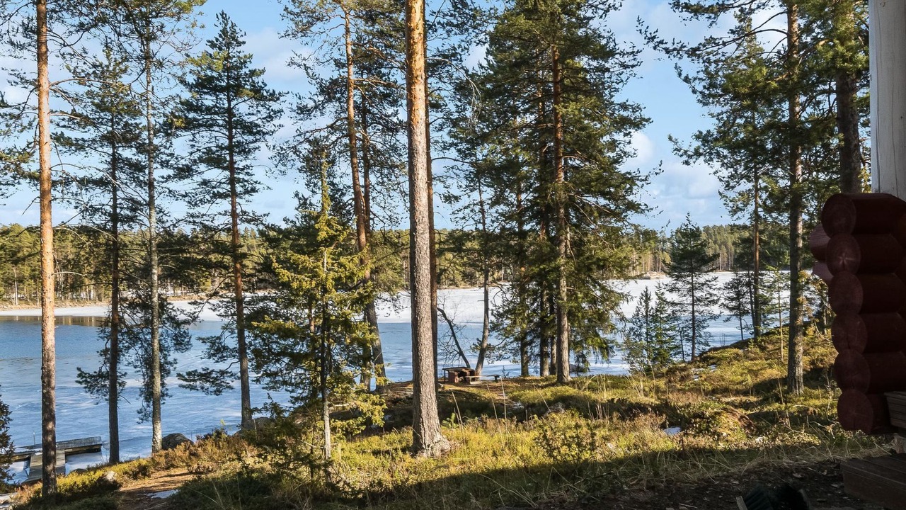 Photo of Others in Punkaharju