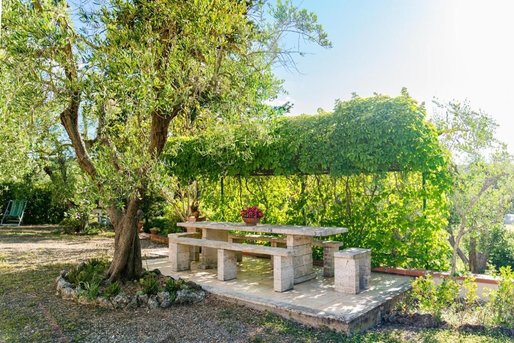 Photo of Outdoor in Manciano