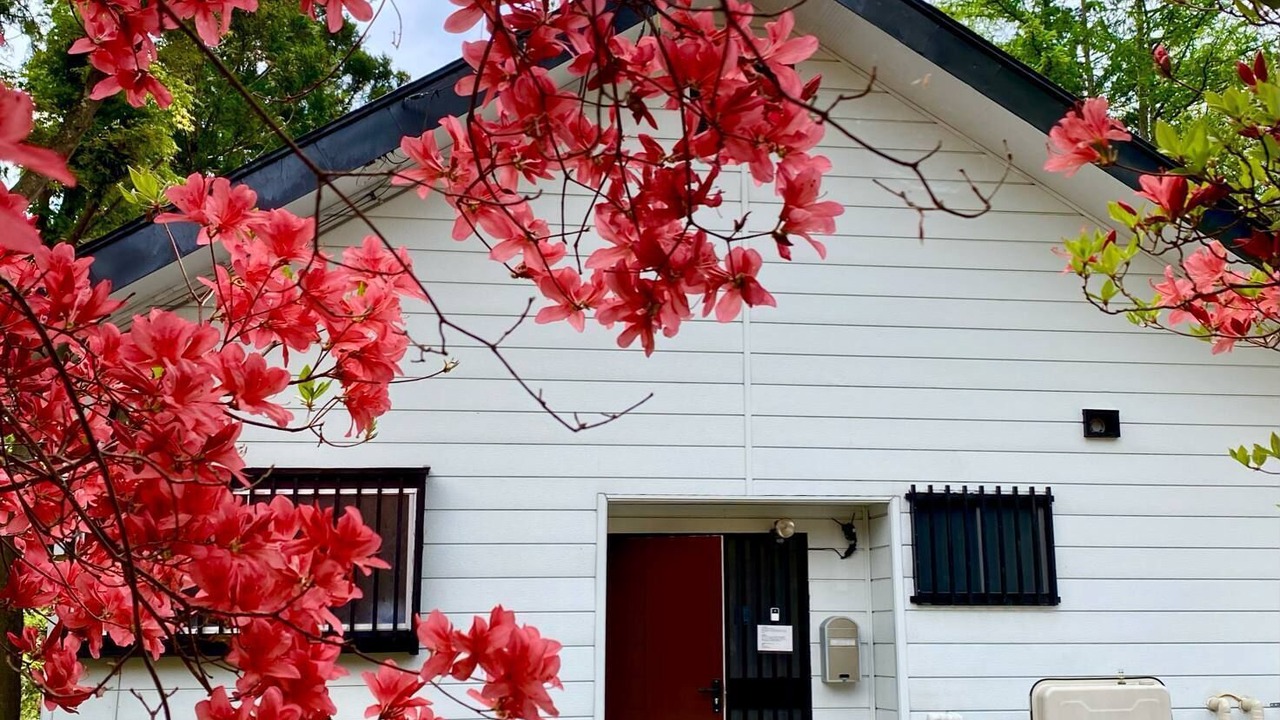 Photo of Outdoor in Nikko