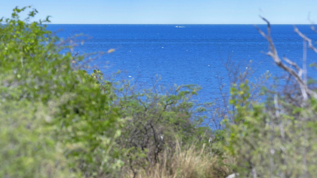 Photo of Outdoor in Sabadeco