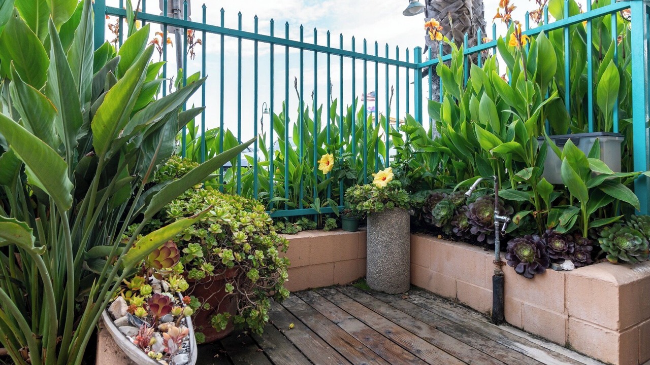 Photo of Outdoor in Carpinteria