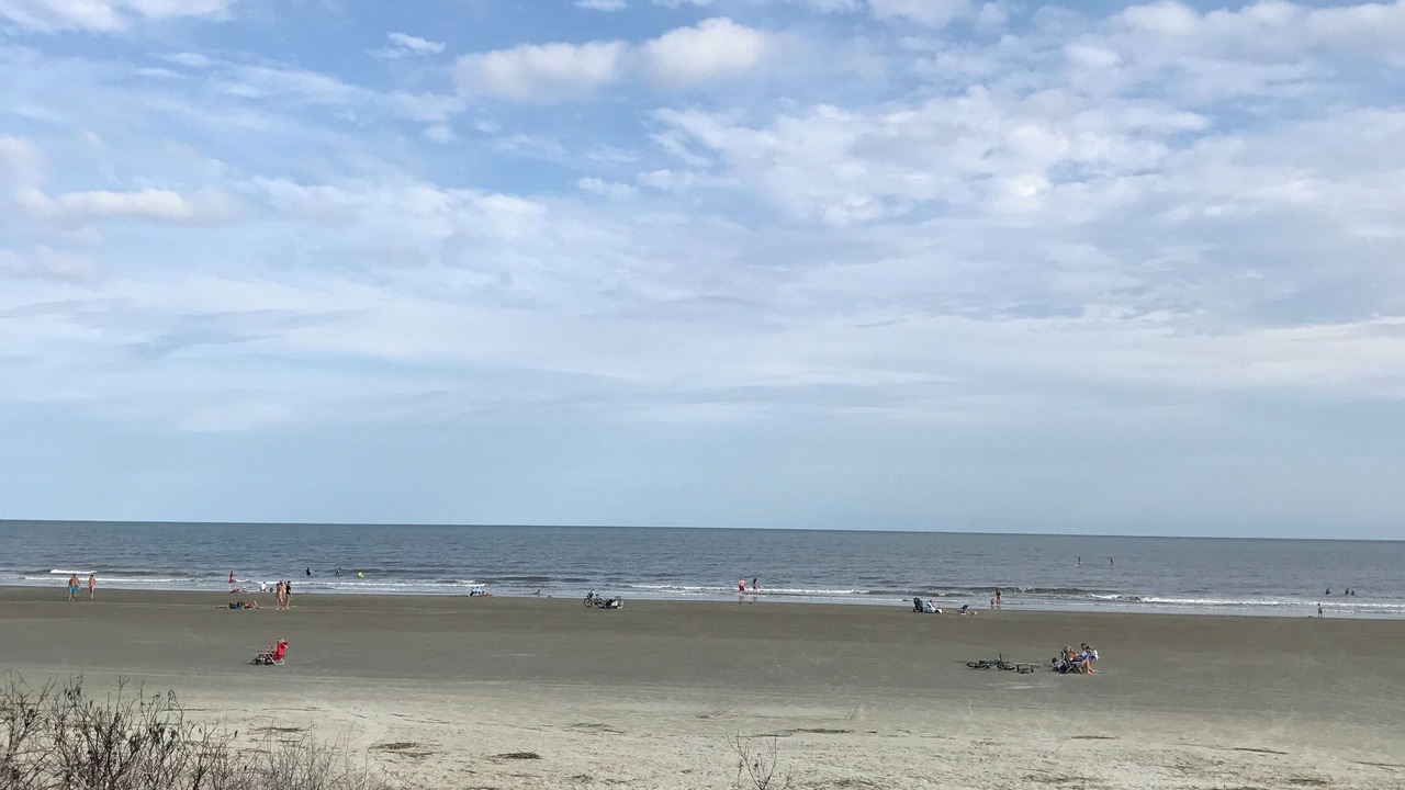 Photo of Others in West Beach
