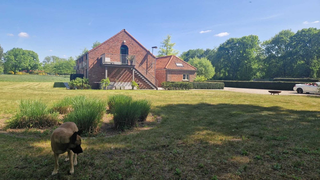 Photo of Outdoor in Balen