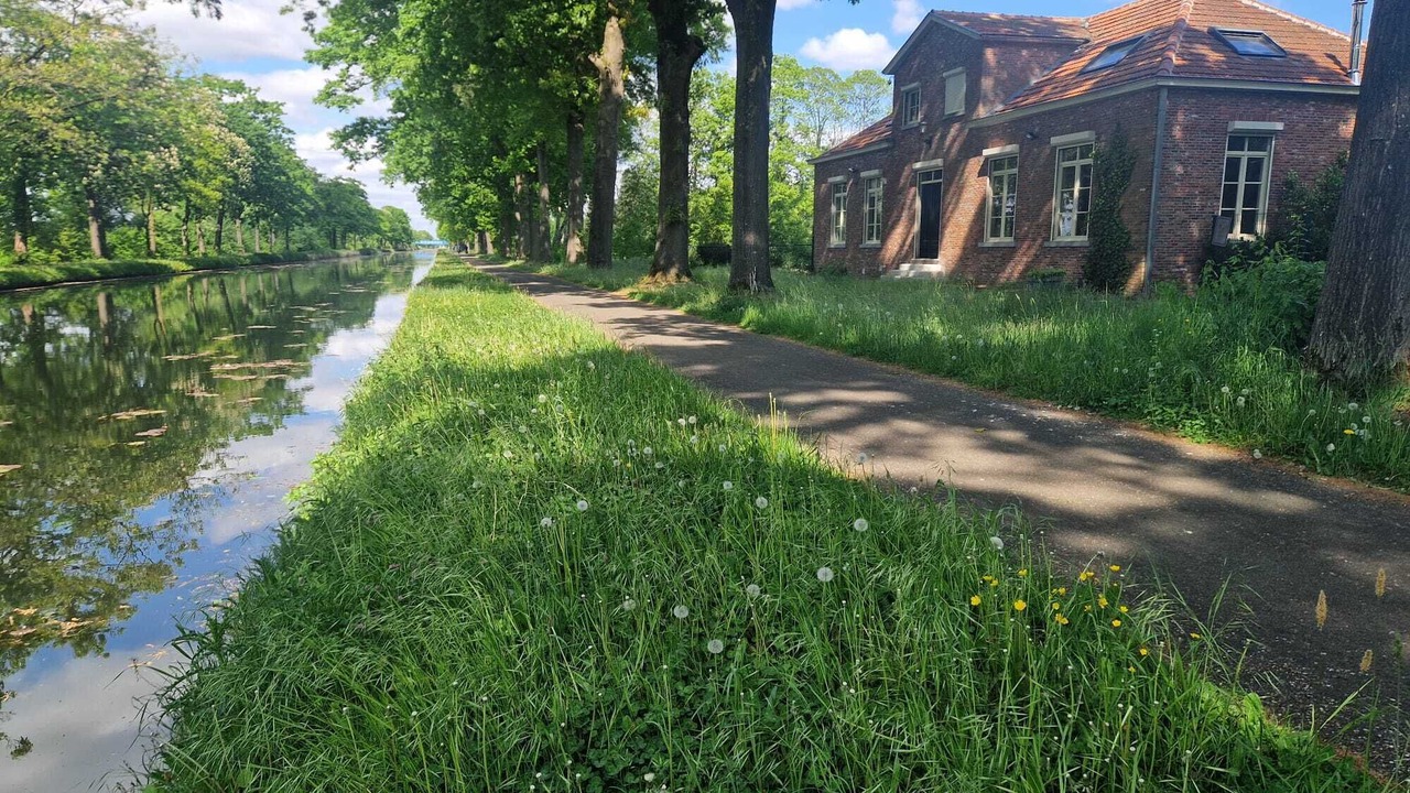 Photo of Outdoor in Balen