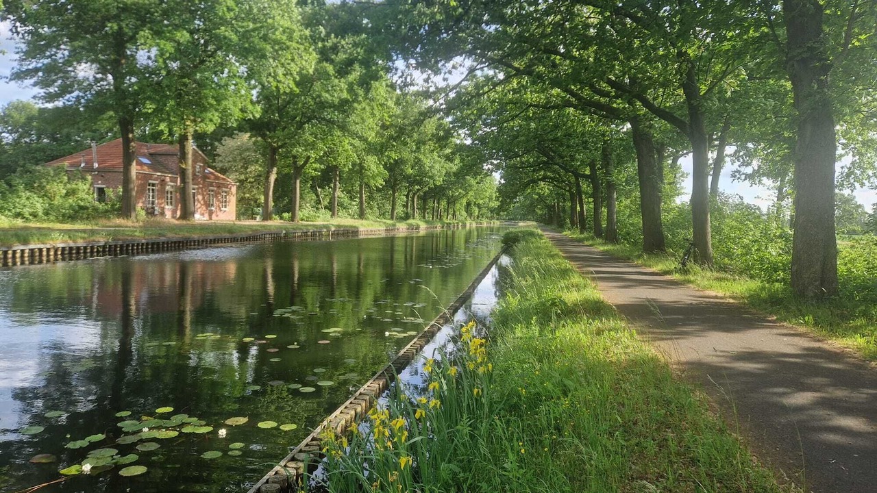 Photo of Others in Balen
