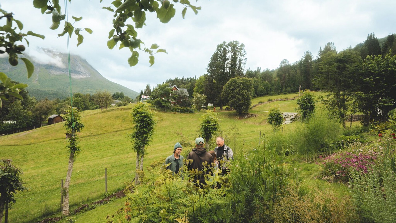 Photo of Outdoor in Møre og Romsdal