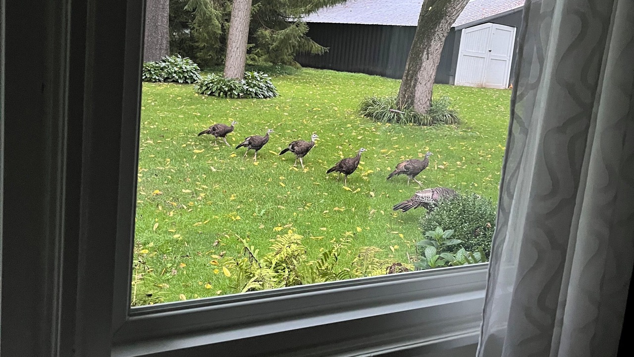 Photo of Others in Craigsville