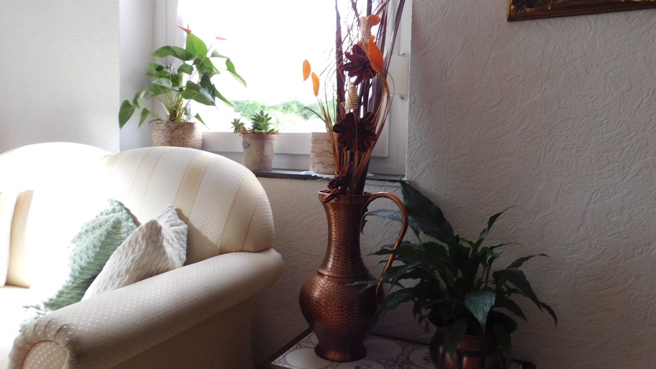 Photo of Others in Solingen