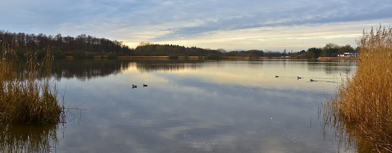 Photo of Others in Russee - Hammer